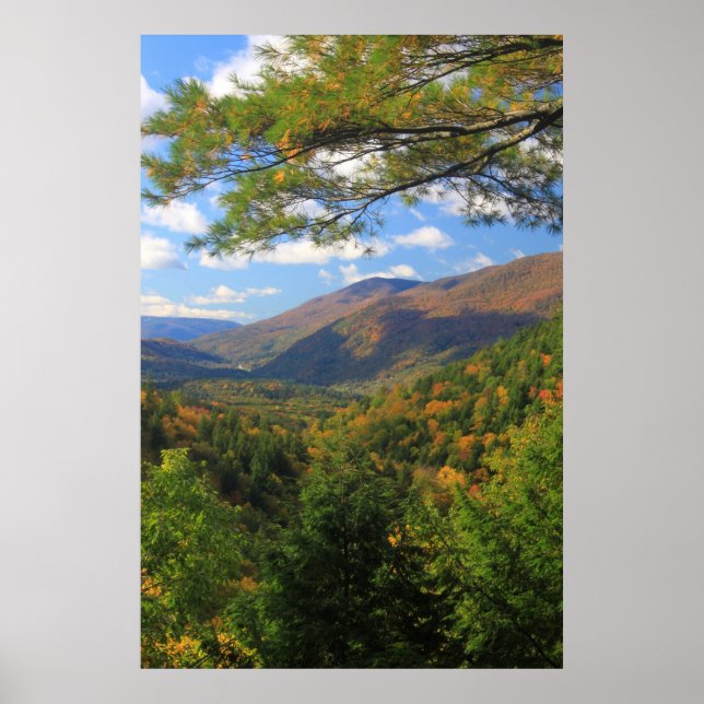 Póster Big Branch Wilderness Vermont (Frente)