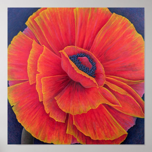 Póster Big Poppy 2003 (Frente)