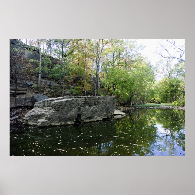 Póster Big Rock 2010 (Frente)