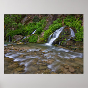 Póster Big Springs Virgin River Parque Nacional Zion