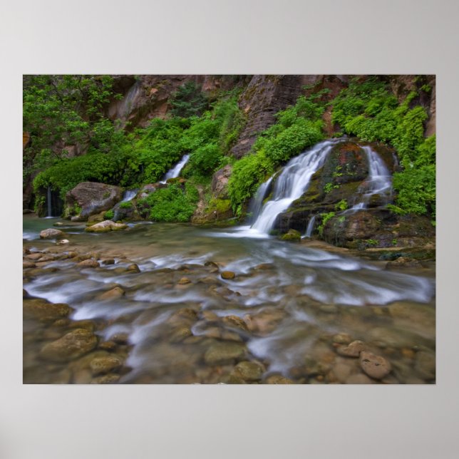 Póster Big Springs Virgin River | Parque Nacional Zion (Frente)