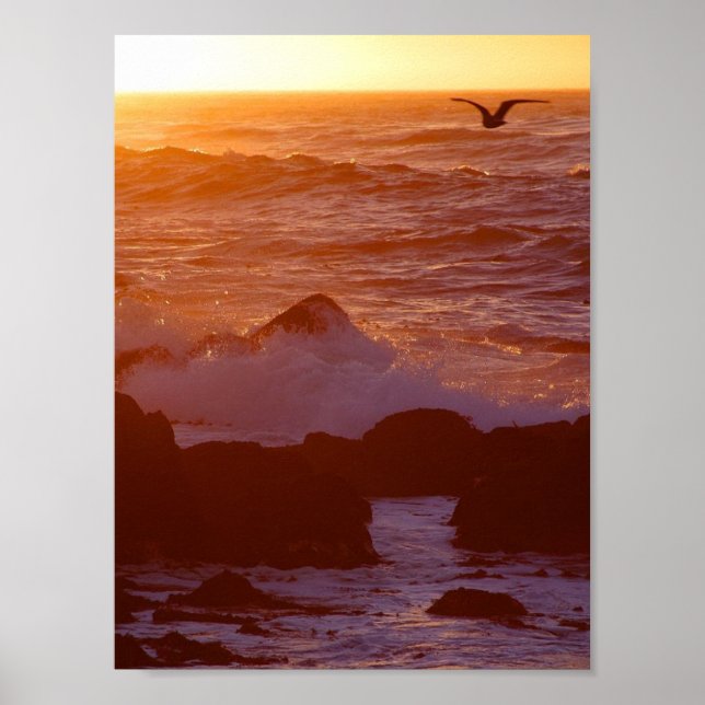 Póster Big Sur (Frente)