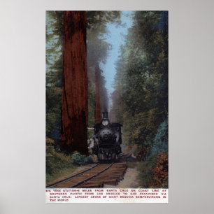 Póster Big Tree Railroad Station