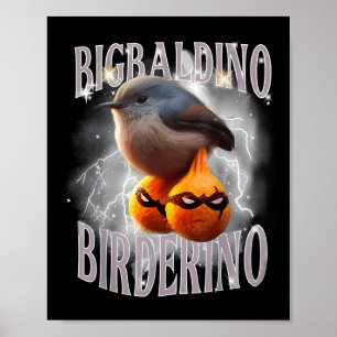 Póster Bigbaldino Birderino Funny Italiano Brainrot Meme 
