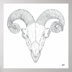 Póster Bighorn Sheep Print (large)