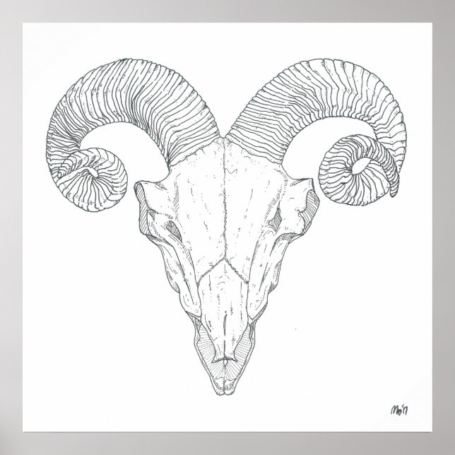 Póster Bighorn Sheep Print (large) (Frente)