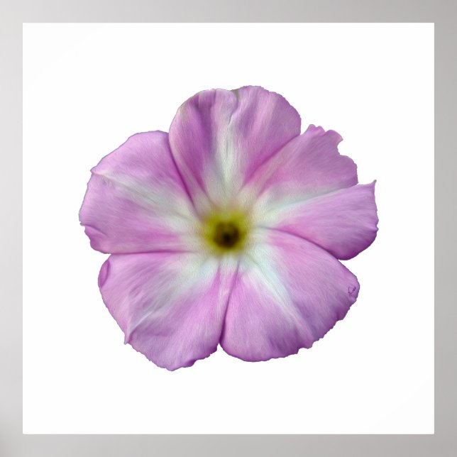 Póster Bindweed #1 (Frente)