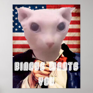 PÓSTER BINGUS TE QUIERE