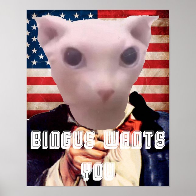 PÓSTER BINGUS TE QUIERE (Frente)