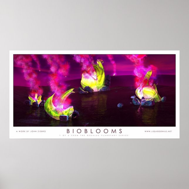 Póster Bioblooms (Frente)