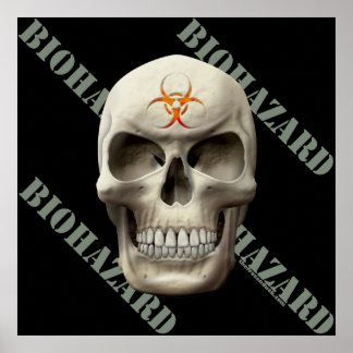 Póster Biohazard Evil Skull