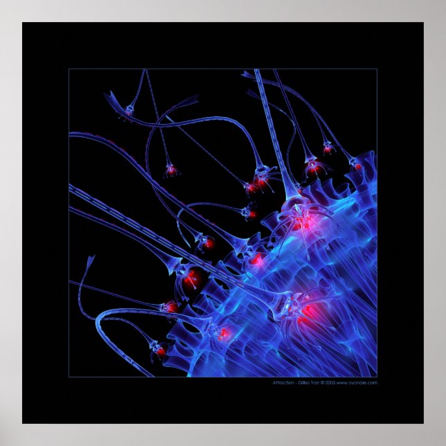 Póster Biología: atracción (Frente)