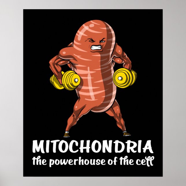 Póster Biología Ciencia Mitochondria Chiste gracioso (Frente)