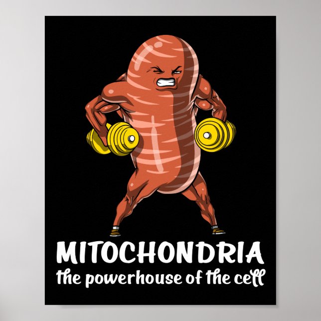 Póster Biología Ciencia Mitochondria Chiste gracioso (Frente)