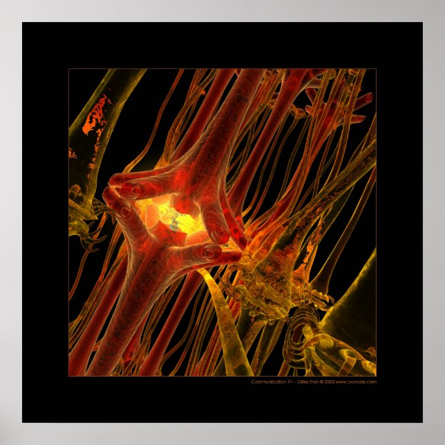 Póster Biología: comunicación #1 (Frente)