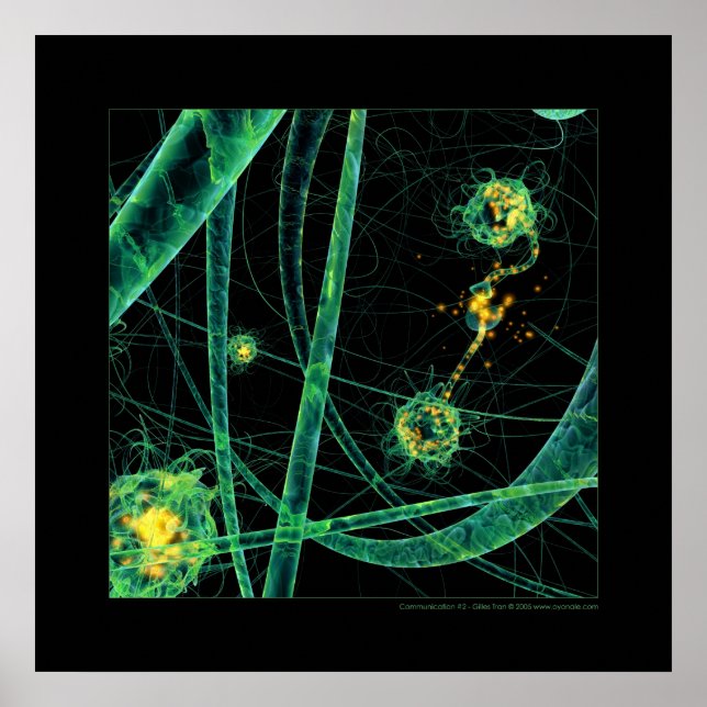 Póster Biología: comunicación #2 (Frente)