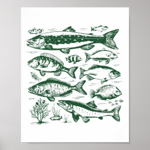 Póster Biología de especies de peces retro tipos de peces