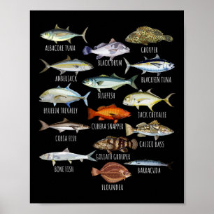Póster Biología de las Especies de Peces Tipos de Peces d