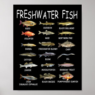 Póster Biología de las especies de peces Tipos de peces d