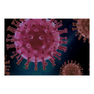 Póster Biología del virus Covid