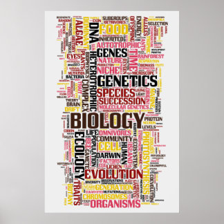 Póster Biología Wordle Nº 11
