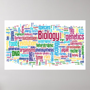Póster Biología Wordle Nº 13