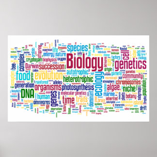 Póster Biología Wordle Nº 13