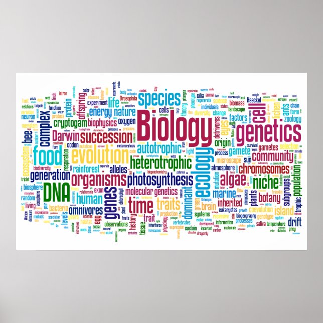 Póster Biología Wordle Nº 13 (Frente)