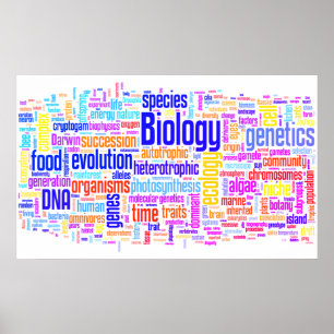 Póster Biología Wordle Nº 17