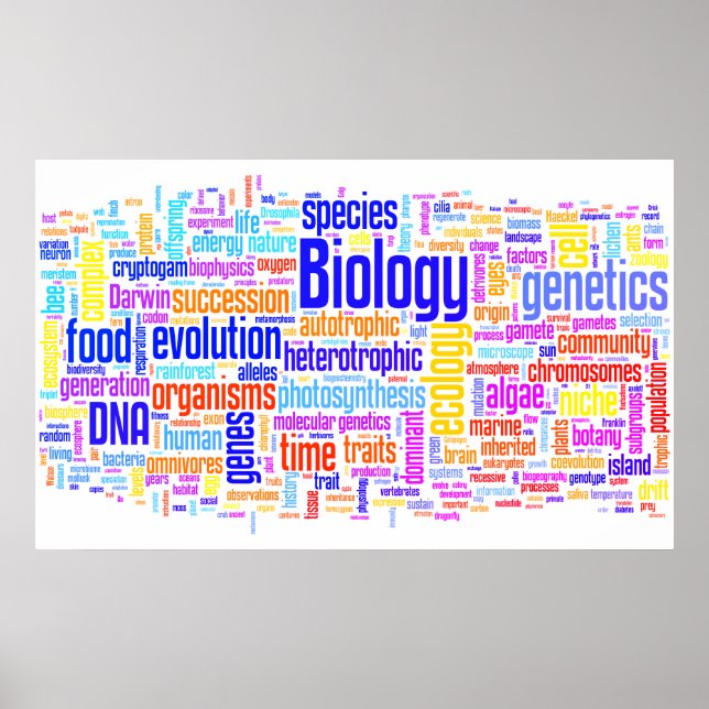 Póster Biología Wordle Nº 17 (Frente)