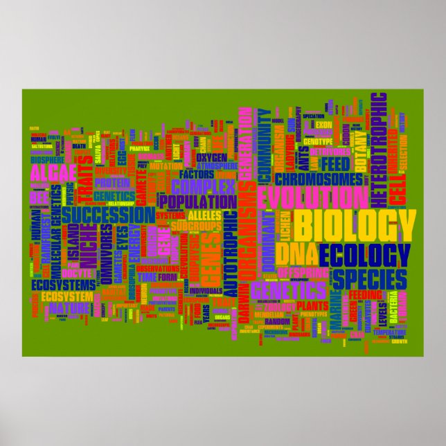 Póster Biología Wordle Nº 2 (Frente)
