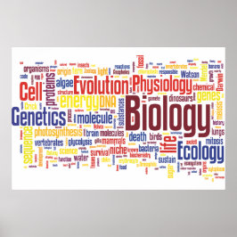Póster Biología Wordle Nº 4