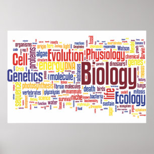 Póster Biología Wordle Nº 4