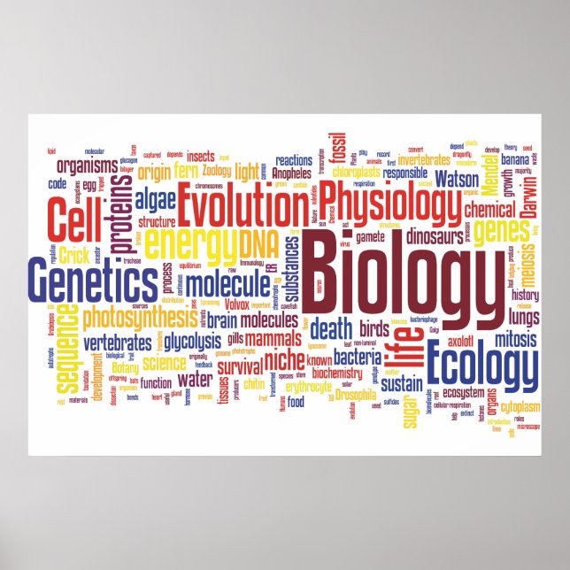 Póster Biología Wordle Nº 4 (Frente)