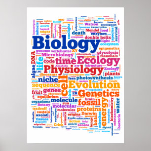 Póster Biología Wordle Nº 7
