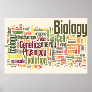 Póster Biología Wordle Nº 9