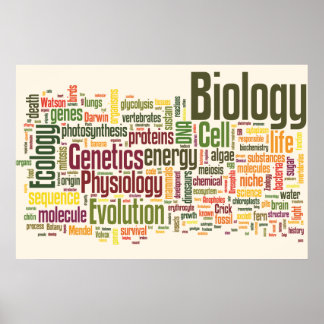 Póster Biología Wordle Nº 9