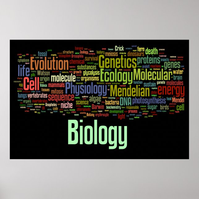 Póster Biología Wordle No. 8 Negro (Frente)