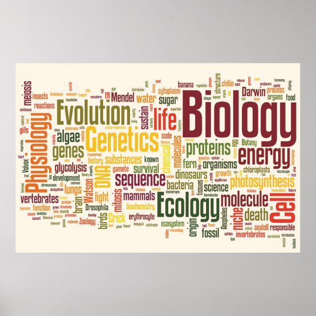 Póster Biology Latte Wordle (Frente)