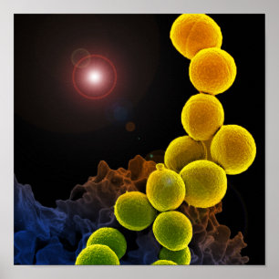 Póster biology microbiology abstract for poster or canvas