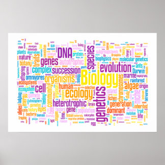 Póster Biology Wordle No. 10 Sunrise