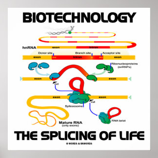 Póster Biotecnología El empalme de la vida (ARN maduro)