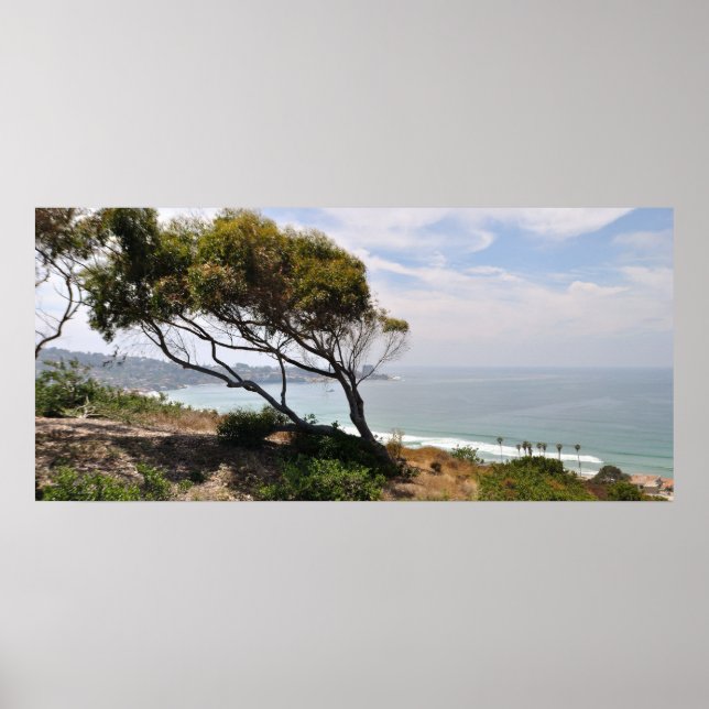 Póster Birch Aquarium Panorama (Frente)