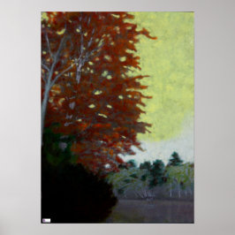 Póster Birch By the Lake Poster