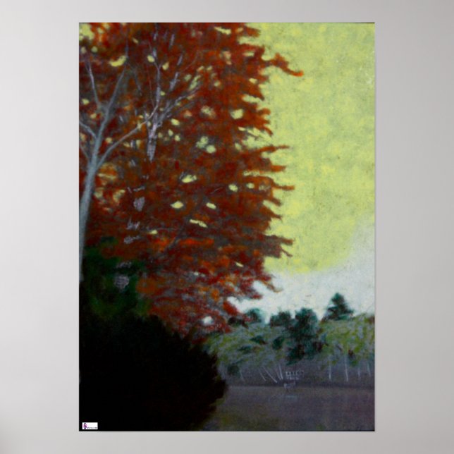 Póster Birch By the Lake Poster (Frente)