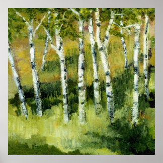 Póster Birch Trees