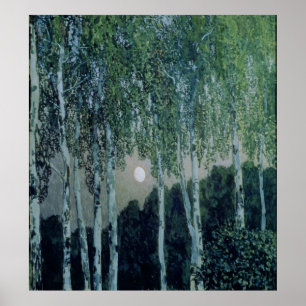 Póster Birch Trees
