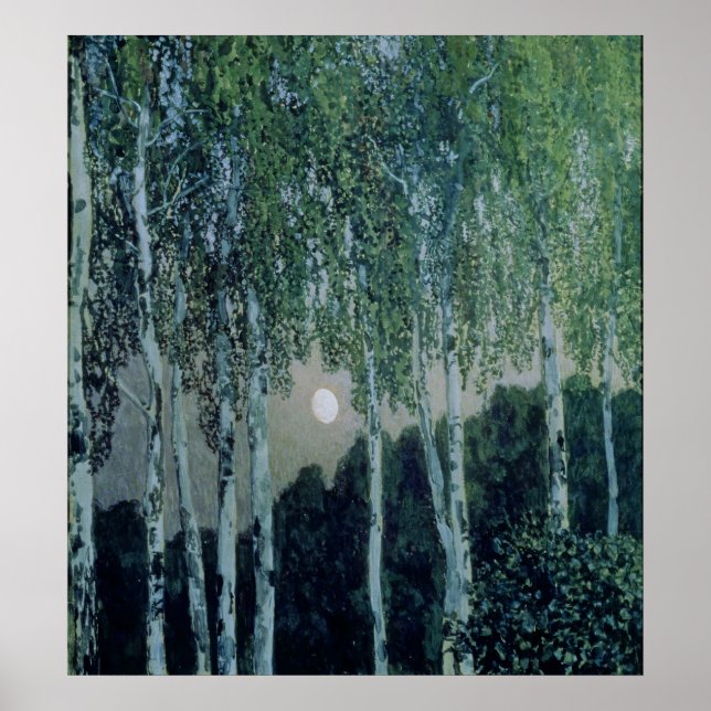 Póster Birch Trees (Frente)