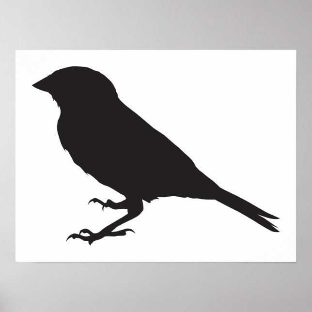 Póster Bird (Frente)