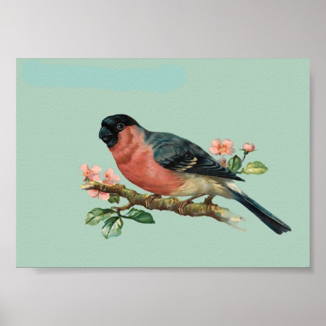 Póster Bird (Frente)